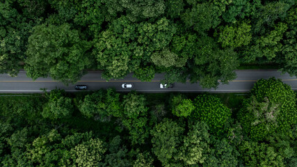 Aerial view car drive in green tree forest road winding road through the forest, Car drive on asphalt road between green tree forest, Electric vehicle EV car drive on asphalt road green tree forest.
