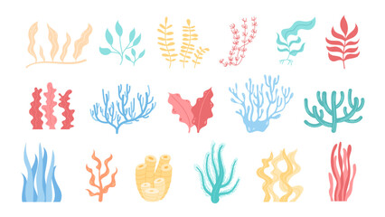 Bright and colorful illustration featuring various seaweed, coral, and marine flora. Underwater design ideal for depicting an ocean reef, sea life, or aquatic world set.