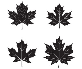 Maple leaves isolated on white collection of maple leaf set black silhouette vector illustration