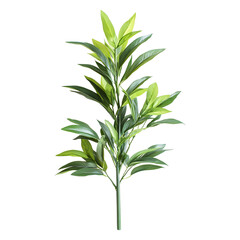 Fototapeta premium Green plant leaves isolated on transparent background