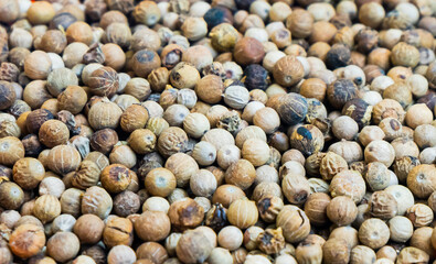 close up of pepper. traditional Indonesian Spices