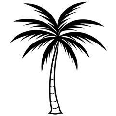 Fototapeta premium minimalistic black silhouette of a palm tree