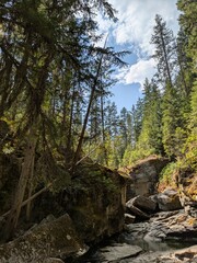 Unnamed Creek, Very Private, Many visitors, Preference its private, has a bear population, you could encounter a large animal trying to take these photos