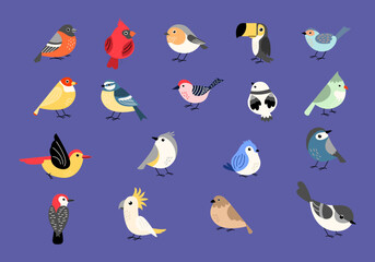 Hand Drawn Bird Illustration Element Set