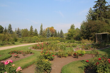 Roses Garden In Bloom, U of A Botanic Gardens, Devon, Alberta