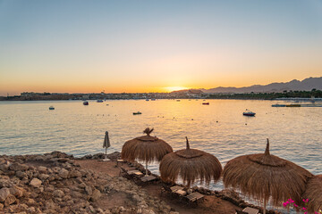Straw umbrellas on empty beach. Beautiful empty beach with sun umbrellas and sunbeds