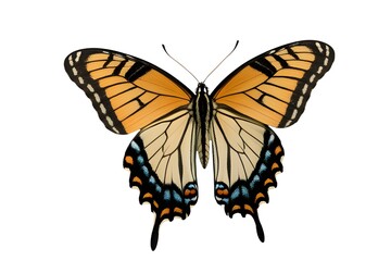 Naklejka premium PNG Flying plain tiger butterflies butterfly animal insect.