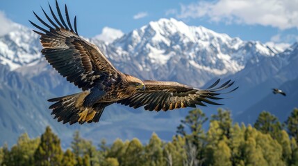 Obraz premium A large eagle is flying over a mountain range