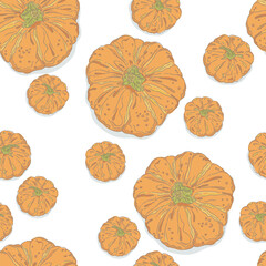 Series of autumn picnic seamless pattern in hand drawing style for fall festival, harvest, thanksgiving season