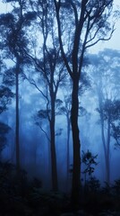 Silhouettes of Trees in a Foggy Forest at Dusk