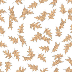 Fototapeta premium Series of autumn picnic seamless pattern in hand drawing style for fall festival, harvest, thanksgiving season