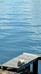 wooden pier on the lake