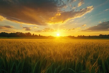 Obraz premium Stunning Italian sunset over manicured field high quality image