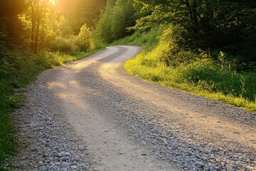 Obraz premium Walk on sunny gravel road brings joy Relaxing near village on summer holiday