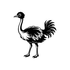 ostrich silhouette vector illustration sublimation