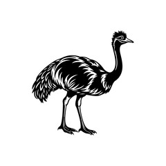 emu silhouette vector illustration sublimation