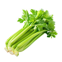 Vibrant Green Celery A Fresh Bunch Bringing Crispness and Nutrition to Your Meals and Inspiration to Healthy Living, Perfect for Salads or Snacks