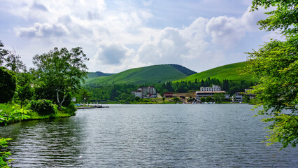 Fototapete bei efototapeten.de bestellen   