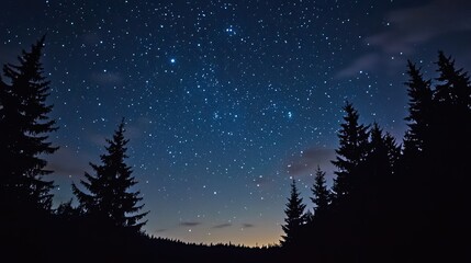 Fototapeta premium Starry night sky with twinkling constellations -