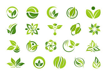 Nature Leaf Icon Element Set
