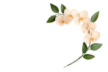 Obraz premium Beautiful floral arrangement featuring delicate cream-colored flowers and lush green leaves, perfect for decorative themes.