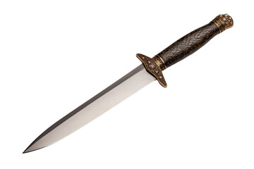 Elegant dagger with a detailed hilt and sharp blade, perfect for historical context or artistic uses in photography.