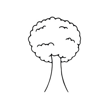 recommend clip art: A black and white line art illustration of a simple tree with a rounded canopy