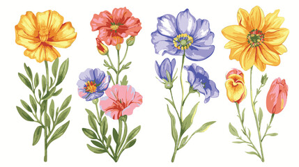 set of pencil style colorful birth flowers on a white background