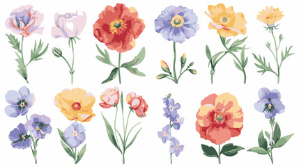 set of pencil style colorful birth flowers on a white background