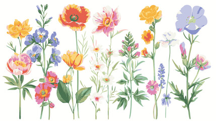 set of pencil style colorful birth flowers on a white background