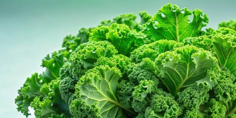 Fresh green kale leaves isolated on background, Kale, Vegetables, Healthy, Green, Organic, Fresh, Nutrition, Superfood, Leafy, Vegan