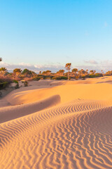 Panoramic view of orange sand dune desert with clear blue sky