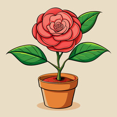 Camellia, potted plant, Color pencil hand-drawn feeling vector illustration