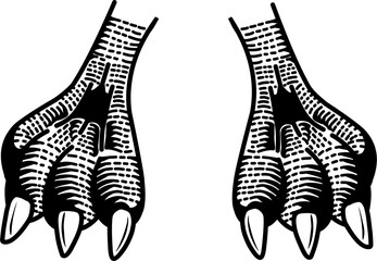 outline sketch of a bird's leg