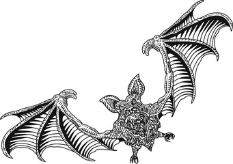 Obraz premium bat monster line sketch