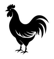 chicken isolated on white background