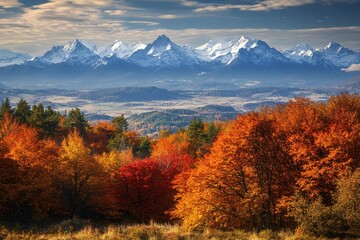 Naklejka premium The vibrant trees and distant mountains create a stunning autumn panorama, highlighting the majestic beauty