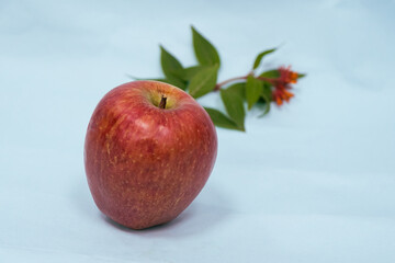 isolated fresh red apple photo in plain background