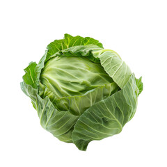 Fototapeta premium Fresh green cabbage on a transparent background showcasing its vibrant leaves and natural texture