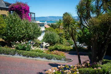 Obraz premium San Francisco,California,USA-August 10th 2024:Lombard Street