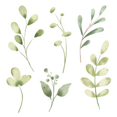Leaves set, floral watercolor illustration for greeting card, invitation and other printing design. Isolated on white. Hand painting.