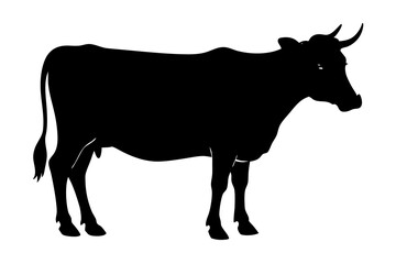 cow silhouette, cow vector illustration, bull, cow icon	
