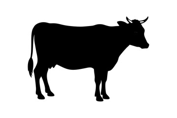 cow silhouette, cow vector illustration, bull, cow icon	
