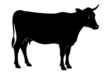 cow silhouette, cow vector illustration, bull, cow icon	
