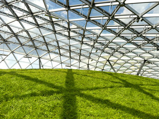 Fototapeta premium Green lawn under the dome