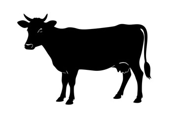 cow silhouette, cow vector illustration, bull, cow icon	
