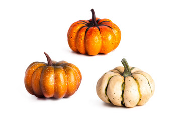 Pumpkin set, white, orange and brown pumpkin isolated on white background