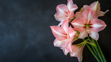 A bouquet of delicate amaryllis flowers