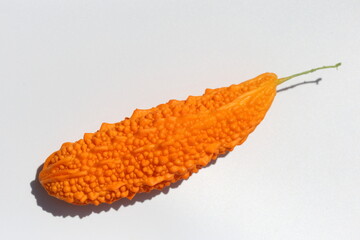 Momordica charantia fruits isolated on white. ıt is also known as bitter melon, bitter squash