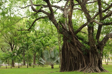 The breathtaking natural